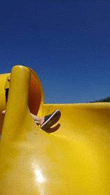 1503423582gVi_cflFXeEtT4G1503423533.gif