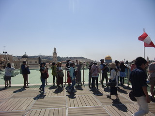 CIMG6317.JPG