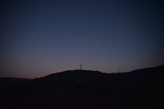 DSC_1906.jpg