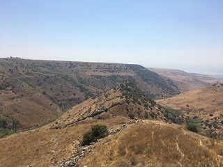 IMG_2514.JPG