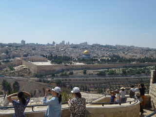 P1020803.JPG