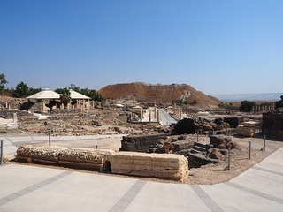 P8191482.JPG