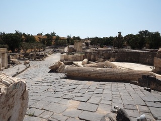 P8191648.JPG