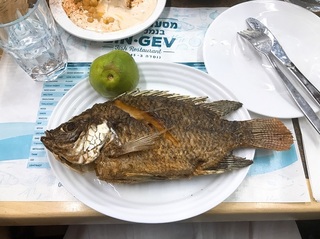osakana.jpg